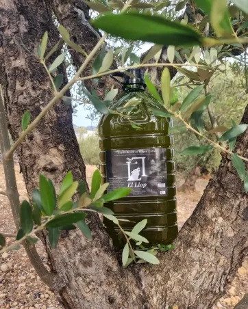 Aceite de oliva virgen extra 5 Litros