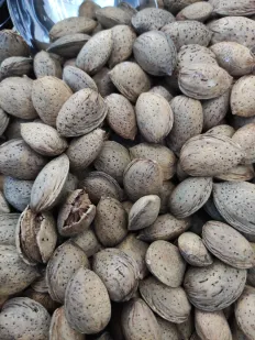 Almendras con cáscara