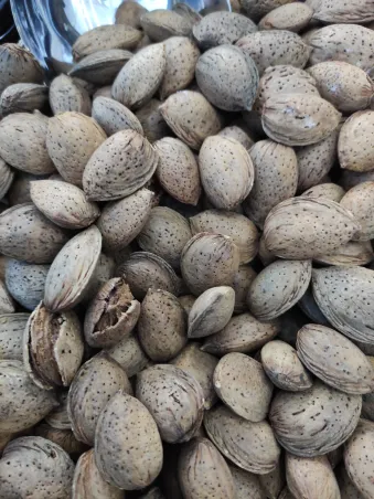 Almendras con cáscara