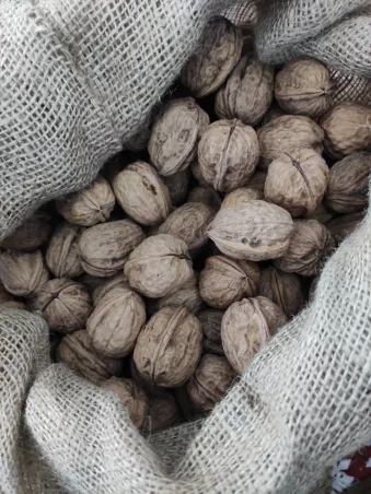 Nueces con cáscara