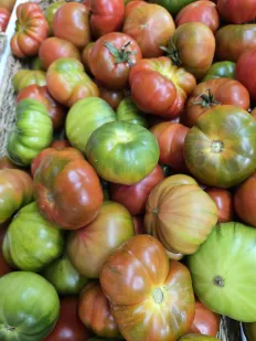Tomate Raff 2