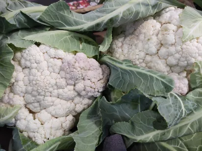 Coliflor 2