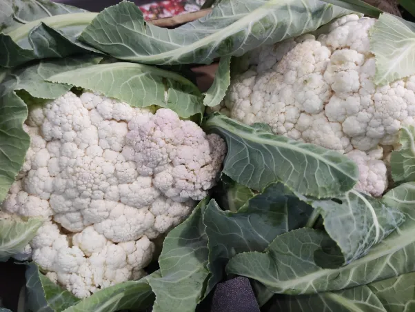 Coliflor