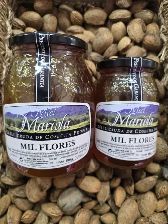 Miel cruda filtrada mil flores