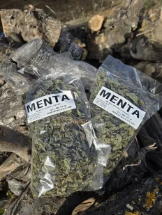 Menta
