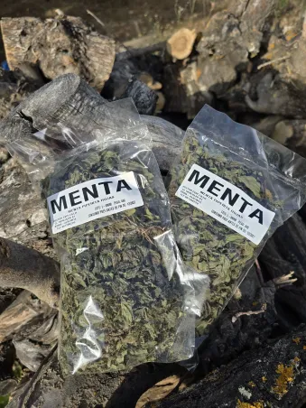Menta