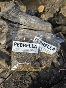 Pebrella