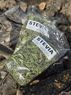 Estevia