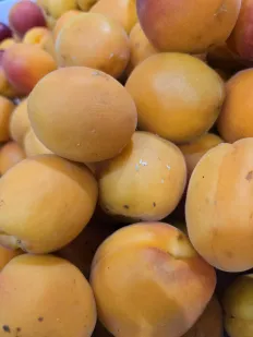 Albaricoques