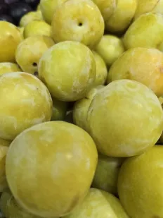 Ciruelo amarillo