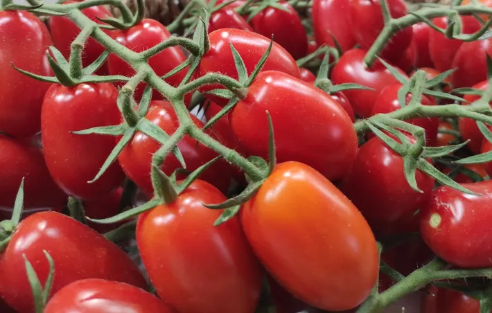 Tomate cherry