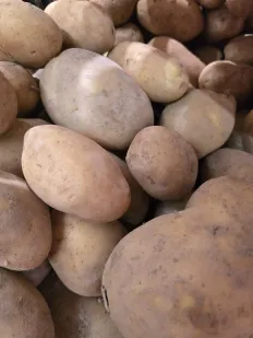 Patatas