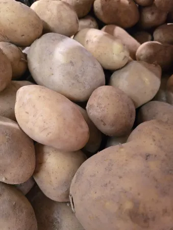 Patatas