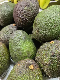 Aguacate