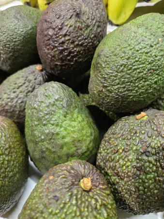 Aguacate