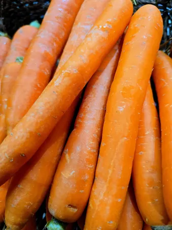 Carlotas