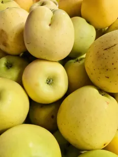Manzana Golden