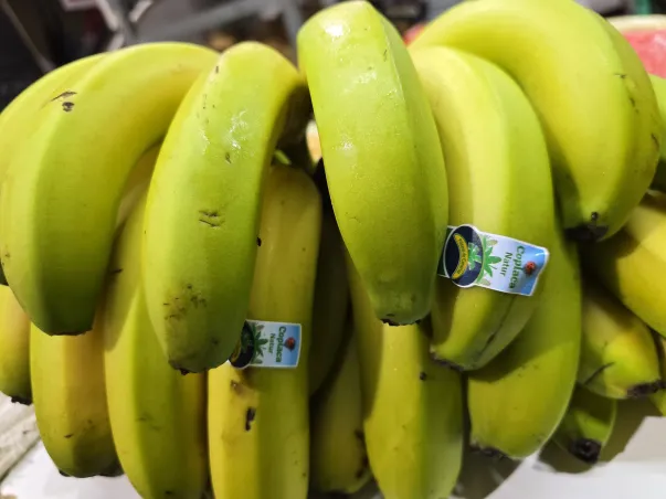 Plátano de Canarias