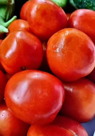 Tomate pera