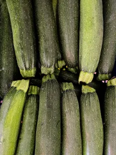 Calabacín verde
