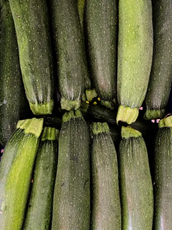 Calabacín verde