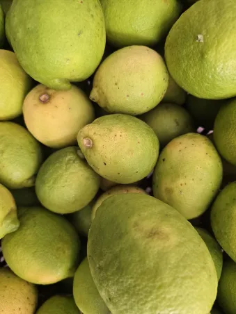 Limones