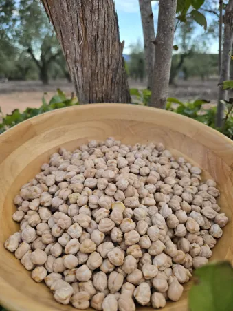 Garbanzos secos