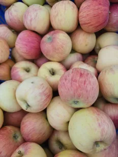 Manzana Royal Gala