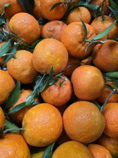 Mandarina Clementina