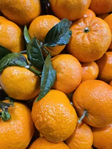 Mandarina Orri