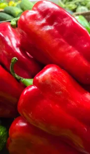 Pimiento rojo cuatro morros